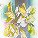 Yo Takahashi Gallery